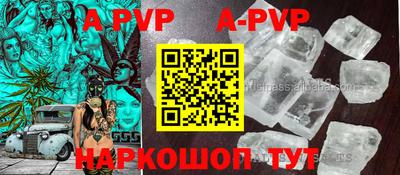 молекула духа Владивосток